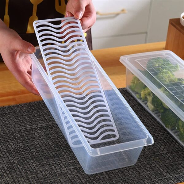 Fish vegetable storage container (1 pis)