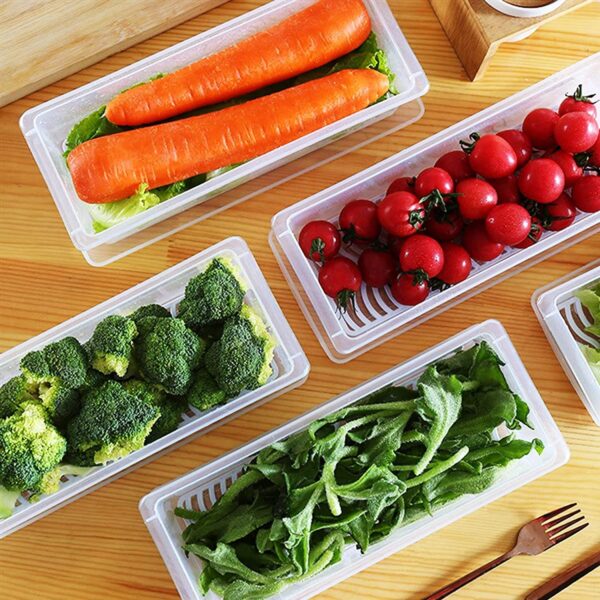 Fish vegetable storage container (1 pis) - Image 2